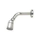 FLOR DE DUCHA PVC FV ORIG.ARTICUL.CROMO