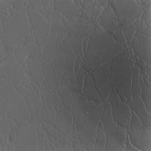 CER&Aacute;MICA SALTE&Ntilde;A  36X36 SEGUNDA CHA&Ntilde;I NEGRO BRILLANTE 2.34M2XCAJA 5% CHANNEBR362