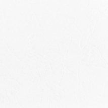 CER&Aacute;MICA SALTE&Ntilde;A 43X43 SEGUNDA CHA&Ntilde;I BLANCO BRILLANTE 2.25M2XCAJA 5%